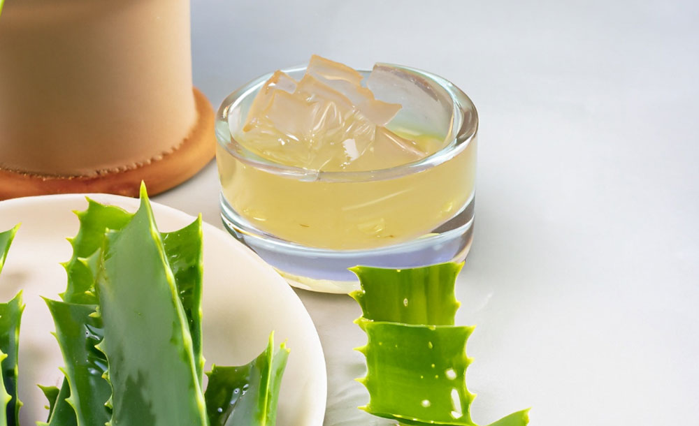 Aloe Vera for acne